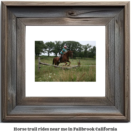 horse trail rides near me in Fallbrook, California